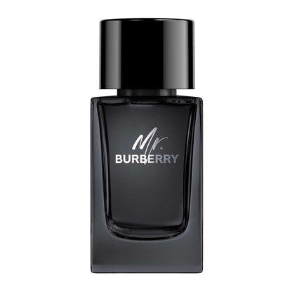 Burberry Mr. Burberry EDP 100ml