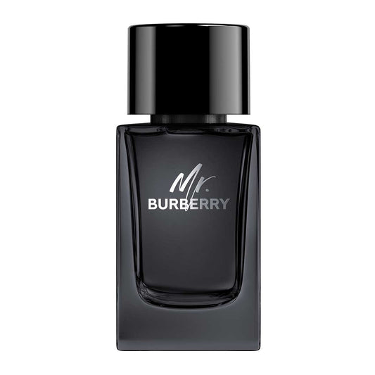 Burberry Mr. Burberry EDP 100ml
